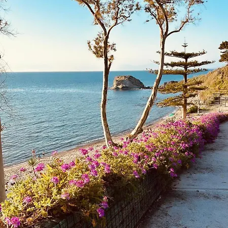 Summer House